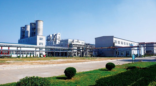 Qingdao Scienoc Chemical Co., Ltd